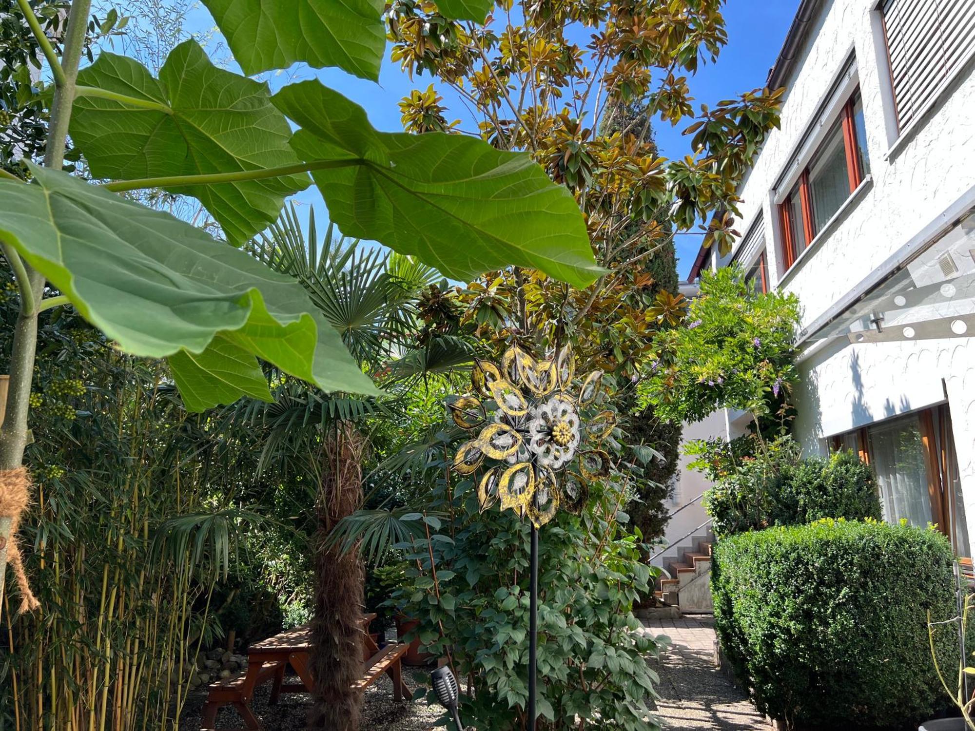 Appartement Haus Pia Executive *